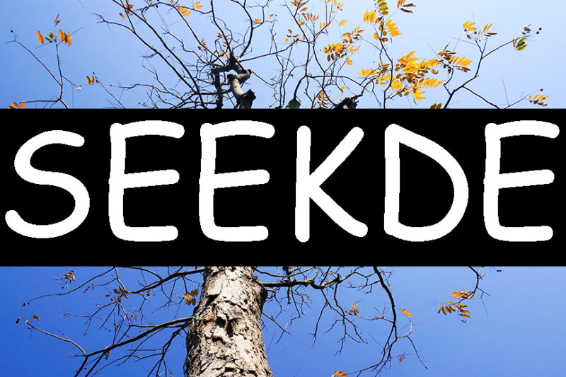 Seekde: Easy Guide to What It Is and How You Can Use It